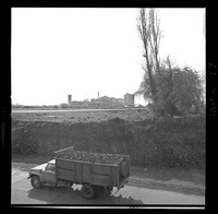 [Iansa (Chile) : Planta Cocharcas]