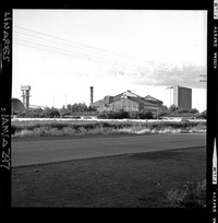 [Iansa (Chile) : Planta Cocharcas]