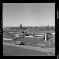 [Iansa (Chile) : Planta Cocharcas]