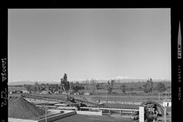 [Iansa (Chile) : Planta Cocharcas]