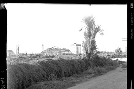 [Iansa (Chile) : Planta Cocharcas]