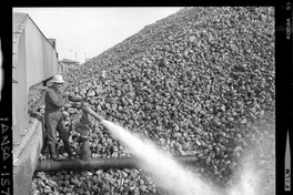 [Iansa (Chile) : Planta Cocharcas]