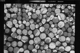 [Iansa (Chile) : Remolacha descoronada] Cocharcas]