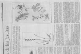 La botica de los jesuitas