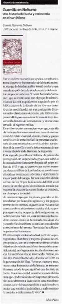 Guerrilla en Neltume : una historia de lucha y resistencia en el sur chileno