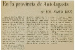 En la provincia de Antofagasta