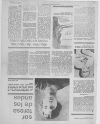 Sor Teresa de Los Andes