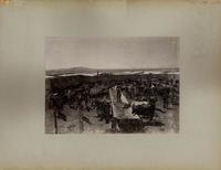 [Trabajadores de una salitrera y ganado vacuno destinado al consumo]