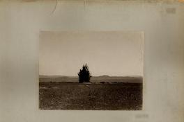 Polvorazo [Tronadura en el exterior del yacimiento para perforar una calichera]