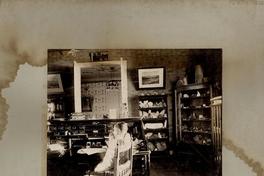 [Hombre sentado frente a su escritorio, de madera noble, divido en gavetas; alrededor de la habitación, cuadros y anaqueles que exhiben minerales]