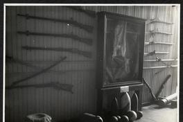 [Album Museo de Historia Natural de Concepción: Sección de Historia. Colección de armas y trofeos].