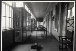 [Album Museo de Historia Natural de Concepción: Galería de la Sección de Historia, sede Castellón]