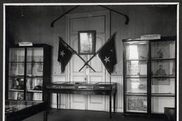 [Album Museo de Historia Natural de Concepción: Sección de Historia; Recuerdos del Asalto de Arica y Campaña de Tarapacá]