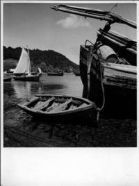 Lanchas en el río [Valdivia]