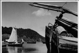 Lanchas en el río [Valdivia]