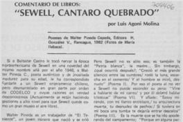 Sewell, cántaro quebrado