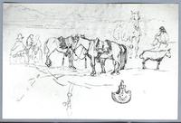 [Caballos en el Puerto de Huasco]