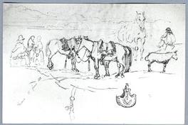 [Caballos en el Puerto de Huasco]