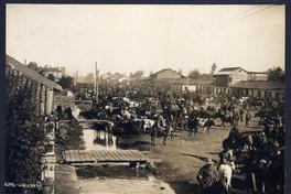 [Mercado Municipal de Chillán]