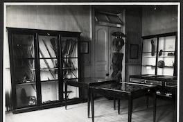 [Album Museo de Historia Natural de Concepción: Sección de Etnología. Vitrinas con objetos etnográficos de culturas del sur de Chile]