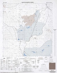 Salar de San Martín o Carcote