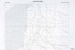 Salar Punta Negra 24°30' - 68°45'