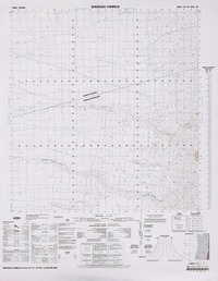 Quebrada Tambillo 21°15' - 69°00'