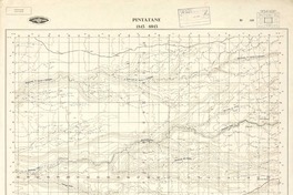 Pintatane 1845 - 6945