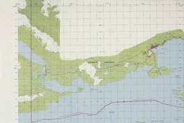 Puerto Navarino 544500 - 681500 [material cartográfico] : Instituto Geográfico Militar de Chile.