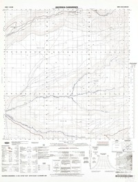 Hacienda Camarones (19°00'13.00" - 69°45'06.05") [material cartográfico] : Instituto Geográfico Militar de Chile.