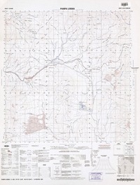 Pampa Lirima (19|45'13.00"-68°45'06.04") [material cartográfico] : Instituto Geográfico Militar de Chile.