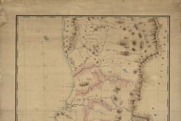 Mapa topográfico construido para el estudio de la colonización de las provincias de Cautín i Valdivia  [material cartográfico] construido por el injeniero Manuel Mena, según las indicaciones del Inspector de Tierras.