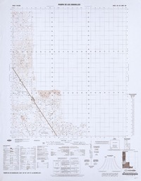 Pampa de los Amarillos  [material cartográfico] Instituto Geográfico Militar.