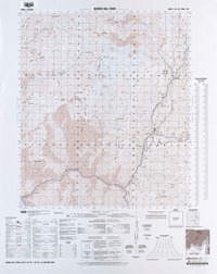 Baños del Toro (29° 45'- 70° 00') [material cartográfico] : Instituto Geográfico Militar de Chile.