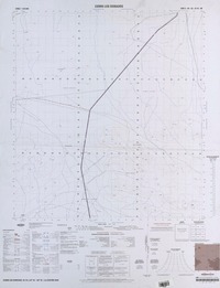 Cerro Los Dorados 24°45' - 69°45' [material cartográfico] : Instituto Geográfico Militar de Chile.