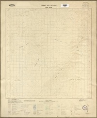 Cerro del Quimal 2300 - 6830 [material cartográfico] : Instituto Geográfico Militar de Chile.