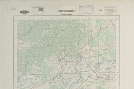 Pelchuquín 393000 - 730000 [material cartográfico] : Instituto Geográfico Militar de Chile.