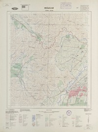 Peñaflor 333000 - 705230 [material cartográfico] : Instituto Geográfico Militar de Chile.