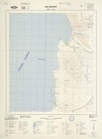 Las Salinas 322230 - 712230 [material cartográfico] : Instituto Geográfico Militar de Chile.