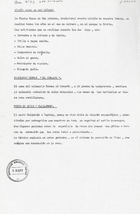 Fiesta huasa de San Esteban  [manuscrito].