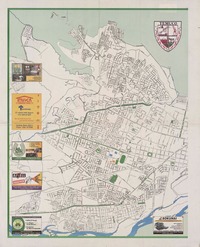 Temuco  [material cartográfico]