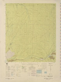 Agua Amarilla 314500 - 712230 [material cartográfico] : Instituto Geográfico Militar de Chile.