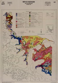 Mapa de vegetación área de uso agropecuario XII Región, Chile [material cartográfico]: Antonio Lara A., Gustavo Cruz M. ; dibujo y diagramación Aldo Roba C.