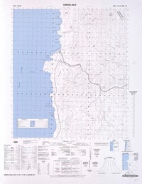 Carrizal Bajo  [material cartográfico] Instituto Geográfico Militar.