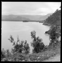 [Humedales] : Chiloé 1973