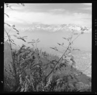 [Vista desde el cerro Santa Lucía] : Santiago