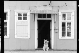 [Calles y casa de la isla] : Chiloé 1973