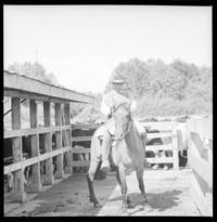 Chile zona de Talca al Sul (Sur) de Santiago