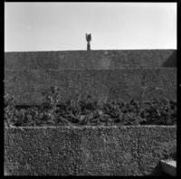 Unctad III (Gabriela Mistral)