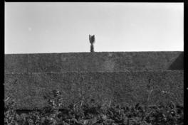 Unctad III (Gabriela Mistral)